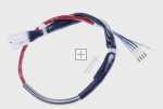 Harness - 1043856 Wiring Harness (hinge) [Amica]
