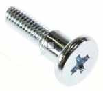 Haier Hinge Pin - 0060105303 49053007 Bolt Cross-slotted